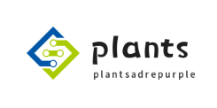 plantsadrepurple